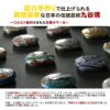 エイジシュート記念 九谷焼 クリップマーカー