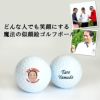 エイジシュート記念 名入れ 似顔絵 ゴルフボール